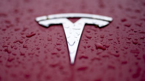 Zeci de persoane au protestat la un showroom Tesla din Portugalia faţă de sprijinul pe care Elon Musk îl acordă partidelor de extremă dreapta din Europa