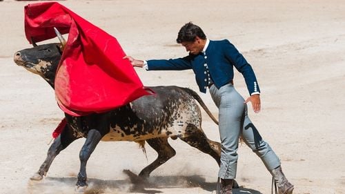 Columbia adoptă o lege care interzice luptele cu tauri