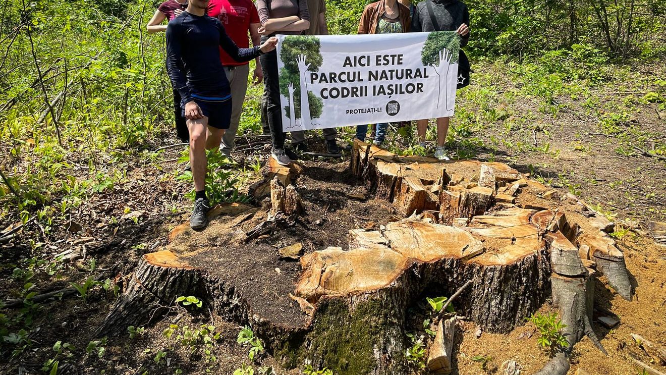 Marş organizat de 9 ONG-uri pentru salvarea pădurilor din jurul municipiului Iași