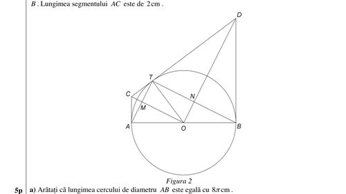 ULTIMA ORĂ Evaluarea Națională 2020: Modele de subiecte la Limba română și Matematică au fost publicate chiar înainte să pice guvernul