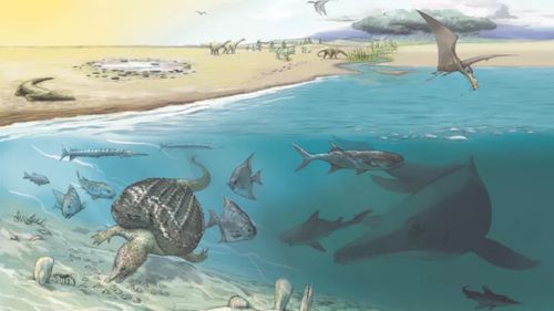 Fosilele a trei reptile marine uriaşe, ihtiozauri, care au trăit în urmă cu aproximativ 205 milioane de ani, au fost descoperite în Alpii elveţieni / Printre rămășițe se află cel mai mare dinte găsit vreodată de la acest animal