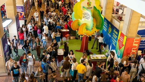 VIDEO: Studii în România, sau în străinătate? Tinerii români preferă mai nou universitățile din Olanda. Domeniile de care sunt interesați