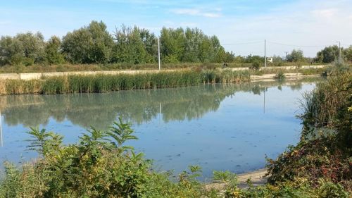 FOTOGALERIE Cele cinci zone sălbatice din București care ar putea fi transformate în arii naturale urbane deschise vizitatorilor