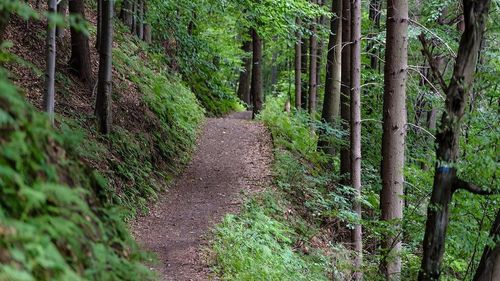 Tanczos Barna: Parcul natural din jurul Brașovului, dorit de administrația USR, se face doar cu aprobarea Ministerului Mediului / ”Nu am înțeles exact cum va arăta acest parc (...) n-am primit până acum nicio propunere în acest sens”