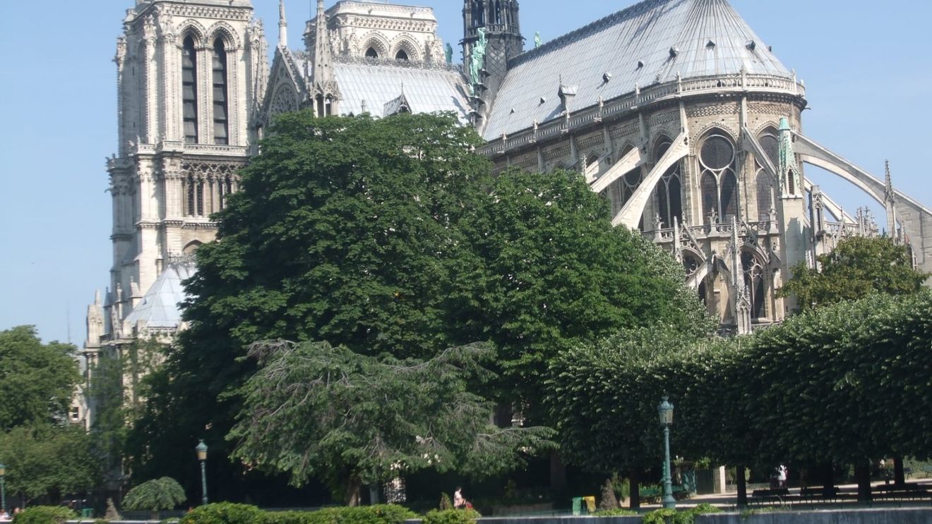 Turla Catedralei Notre-Dame, distrusă în incendiul din 2019, va fi finalizată înainte de Crăciun: "Șantierul avansează bine"