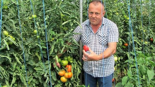 Un primar PNL din județul Iași a făcut sex în birou cu două minore, victime ale unei rețele de traficanți. Una dintre fete fusese răpită de la școală cu câteva ore înainte