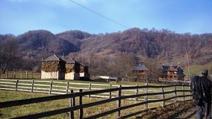 Dosarul tinerilor germani ţinuţi în sclavie în Maramureş: 14 persoane, trimise în judecată de DIICOT/ Minorii dintr-un centru de reabilitare erau bătuți, legați cu funii, înhămați la căruță alături de animale și ținuți afară în frig și ploaie