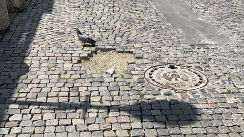 Dezastrul din Centrul Vechi al Bucureștiului, subiect de dezbatere în Primăria Capitalei. Consilieră USR către Nicușor Dan: ”Arată jalnic cum nu a arătat niciodată. Trebuie doar să aranjeze dalele existente, să le lipească, să facă fundaţia sub ele”