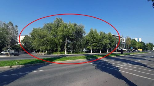 Constanța: Primăria, amendată cu 5.000 de lei, de Garda de Mediu, pentru insuficiența spațiilor verzi