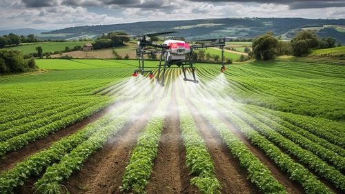 Aplicarea de substanțe sau fertilizanți cu drone agricole costă 100 de lei pe hectar în România / Furnizor de servicii: Un prestator poate să-și dubleze lejer profitul de la an la an
