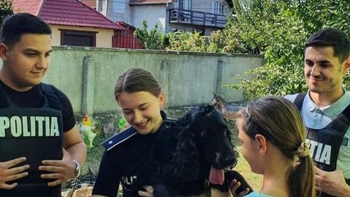 Poveste emoționantă despre un câine dispărut, găsit la peste 60 de kilometri de casă de ”Poliția Animalelor” din Arad