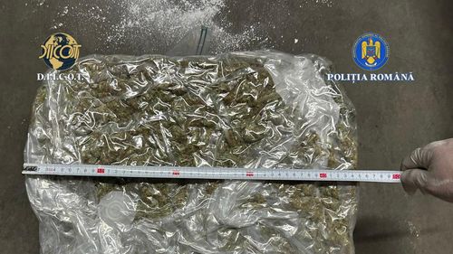 O femeie şi un bărbat care ar fi introdus în ţară 14 kilograme de canabis, reţinuţi / Drogul era adus în ţară din Spania, printr-o firmă de curierat