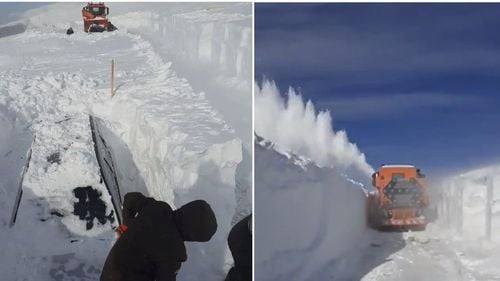 VIDEO Deszăpezire la ieșirea de pe Transalpina, la Rânca: Mașinile turiștilor, căutate prin nămeții de zăpadă cu utilajele și cu lopețile