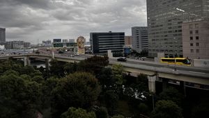 Frunze de ceai căzute pe carosabil au provocat un accident în lanț soldat cu un mort și răniți, în Japonia