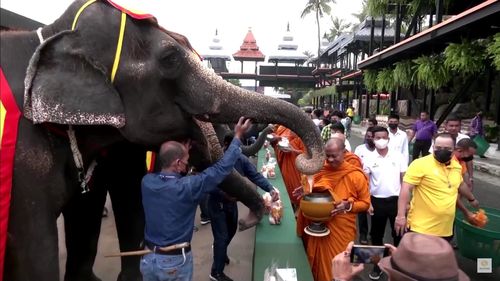 Thailanda a sărbătorit Ziua Naţională a Elefantului, animal considerat un adevărat simbol al țării