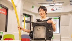 Metroul din Hong Kong devine “pet-friendly”: Cum a reușit un oraș să adapteze transportul public pentru animalele de companie