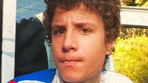 Mesaj RO-Alert în Sibiu, după dispariţia unui băiat de 15 ani cu probleme medicale