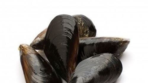 Oficial: S-au stabilit singurele trei zone din Marea Neagră din care pot fi recoltate midii și vongole pentru consum uman în România