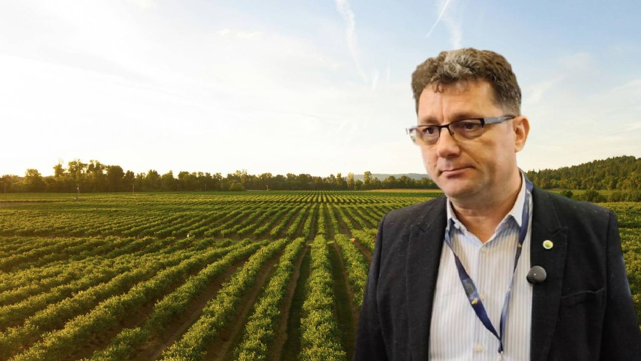 VIDEO | Nicolaie Apopi, fermier din județul Timiș: „S-au scos toate beneficiile pe care le aveam în agricultură, iar asta duce la costuri mai mari. La dobânzile din ziua de astăzi nu poți să spui că faci o agricultură rentabilă”