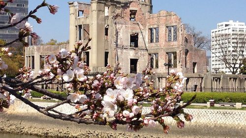 Putin acuză SUA că au creat un „precedent” prin folosirea bombelor nucleare în Hiroshima și Nagasaki