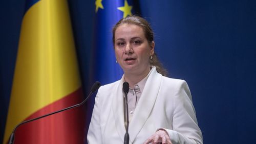 Ligia Deca cere ministrului Dezvoltării sprijinul pentru decontarea navetei profesorilor - document