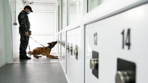 Lucian Bode anunţă că Centrul Chinologic de la Sibiu instruieşte câini pentru detectarea persoanelor infectate cu virusul SARS-Cov-2