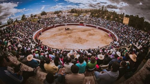 Audienţa săptămânală a papei Francisc, întreruptă de două activiste pentru drepturile animalelor, care cer oprirea coridelor