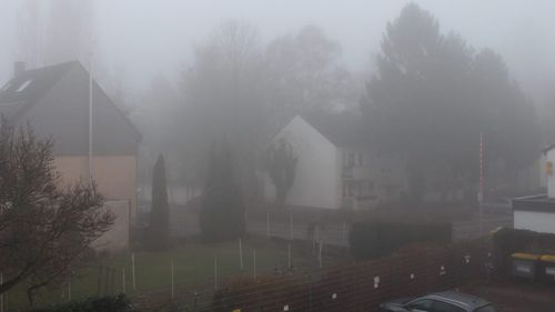Cod galben de ceaţă densă, valabil în judeţele Timiş, Arad, Cluj, Sibiu, Alba şi Harghita.