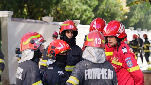 Clinici și asociații se mobilizează pentru animalele de companie afectate de explozia din Rahova: Apelul comunității iubitorilor de animale (VIDEO&FOTO)