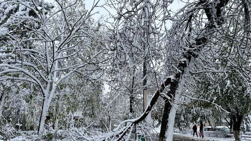 Cod portocaliu de viscol în Cluj la munte și de vânt puternic în Covasna