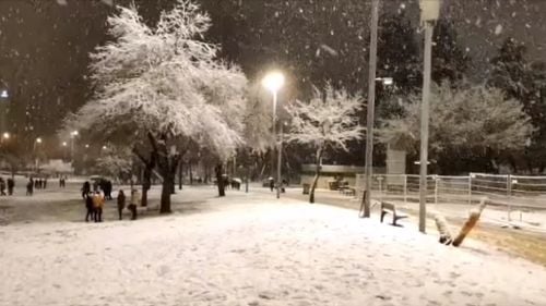 VIDEO Oraşul Vechi din Ierusalim, acoperit de zăpadă / Ambasada Israelului în România: După 7 ani, zăpada a sosit și la Ierusalim