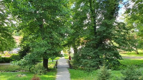 Captatoarele de vânt, ferestrele duble, coridoarele verzi în orașe: ce alternative există la aerul condiţionat