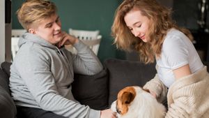 Divorțul și animalele de companie: Un avocat din New York creează contractul prenupțial pentru cuplurile cu patrupezi