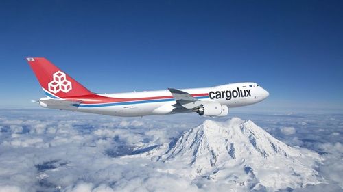 Un pasager care călătorea ilegal a supraviețuit în compartimentul roților unui avion din Africa până în Amsterdam