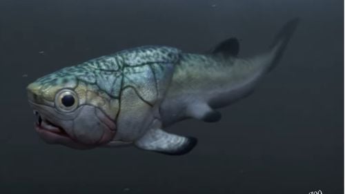 Cea mai veche inimă din lume, datată în urmă cu 380 de milioane de ani,  a fost descoperită la un pește preistoric