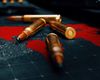 EXCLUSIV O firmă de armament deținută de o bistrițeancă de 75 de ani și un colonel din Poliție a avut în 2024 un profit de șase ori mai mare decât compania de stat Romarm / Ce firme private fac afaceri de succes cu armament, cu ajutorul firmelor de stat