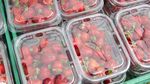 Nu cumpăra căpșuni dacă observi aceste semne / Un fermier explică de ce unele fructe se strică mult mai repede decât altele