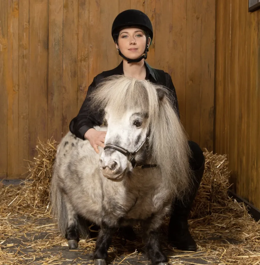 pets, cai, cel mai mic ponei, ponei, guinness world record