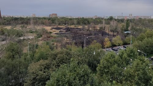 Bucureştenii pot vedea cu ajutorul unei hărţi digitale cât de verde este zona în care trăiesc