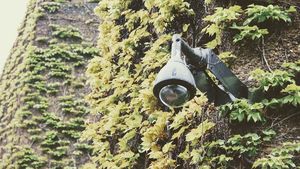 A fost demontată camera de supraveghere de la mormântul lui Helmut Kohl / Administrația locală a considerat că nu există "constatări relevante pentru risc" de vandalism