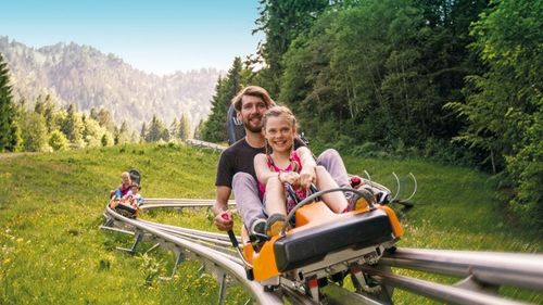 Sanie pe șine, proiect de turism estival în stațiunea Parâng / Primar: „Va avea aproximativ 1,8 km. Pe noi nu ne costă nimic, acest teren nu poate fi folosit decât pentru construcția acestei instalații”