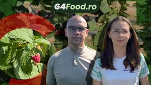 VIDEO | „Aveam doi copii mici și ne gândeam ce putem pune sănătos pe masă”. Cum au construit doi tineri o afacere cu zmeură pornind de la câteva rânduri plantate pentru test