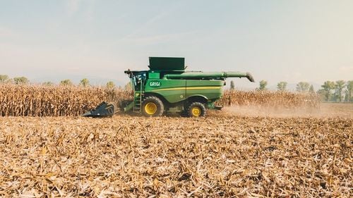 Fermierii din România și alte țări din estul UE, nemulțumiți că cerealele ieftine din Ucraina au invadat piața