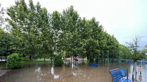 Asociația Parcul Natural Văcărești își schimbă numele și viziunea: adaptarea Bucureștiului la schimbările climatice / Demersuri pentru obținerea statutului de protecție a 400 de hectare de spații verzi din Capitală