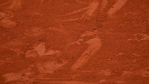 Cristina Dinu a trecut în turul trei al calificărilor de la Roland Garros / Miriam Bulgaru, eliminată