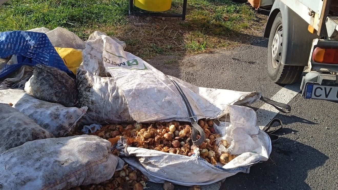 FOTO Zeci de saci cu legume stricate, găsiți de drumari în parcările din Covasna / ”Ce mai adunăm de pe marginea drumului?”