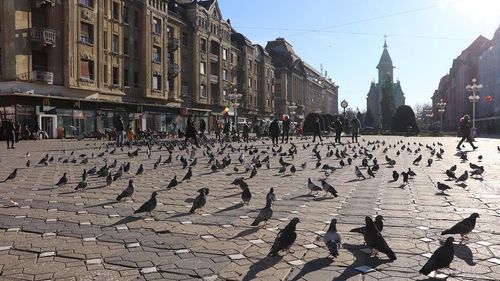 Primăria Timișoara a somat proprietarii a aproape 2000 de clădiri aflate în stare de degradare