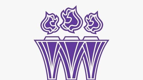 PSD, voturi pierdute după ce alegătorii au confundat sigla partidului cu cea a PSDU