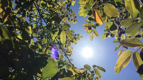 ANM: Vreme călduroasă în Capitală sâmbătă / Temperatura maximă va fi în jur de 32 de grade