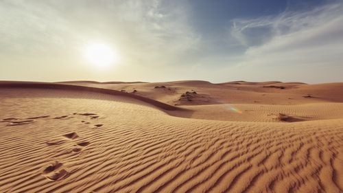 Sahara a găzduit până acum 5.000 de ani o populație complet necunoscută / Cercetătorii au descoperit cele mai vechi mumii umane